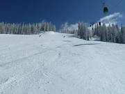 Descent at Flying Mozart