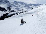 Tip for children  - Sillerenbühl - Bergläger sledding trail