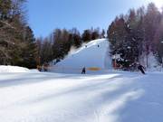 Challenging forest run Berter