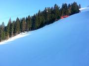 The Kandahar is steep