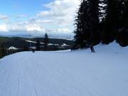 Easy slope with a view of Vancouver