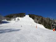 Schütt descent (valley run Schüttdorf)