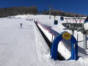 Magic Carpet (one of many in the ski area)