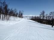 Easy slope Vintergatan in the lower section