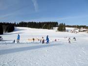 Ideal terrain for families