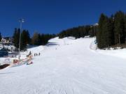 Slopes at the Alblittbahn