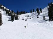 Slope at the Collins chairlift