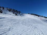 Attractive slope at Cogulla