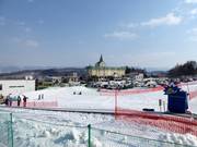 Free conveyor belt in the Beginner Zone Kitanomine