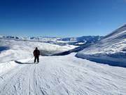 Easy slopes can be found throughout the ski area.