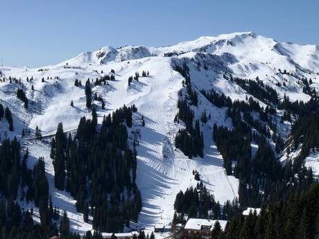 Ski resorts for advanced skiers and freeriding Alps – Advanced skiers, freeriders Damüls Mellau