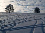 With plenty of snow, there are off-piste powder runs.