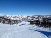 Self-Timer race track