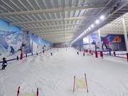 The Snow Centre indoor ski resort