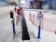 The Snow Centre (Magic Carpet 1) - People mover/Moving Carpet