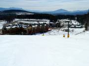 Owl Learning Area in the valley area