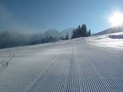 Very good slope grooming