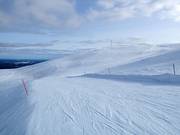 View of the Yllästunturi summit
