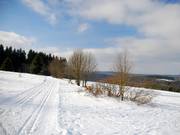 Scenic – the cross-country trails on the Altastenberg high plateau