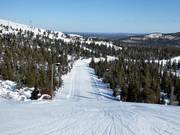 Slope 36 (Reitti Mastolta)