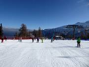 Easy slope Bamby in Folgàrida