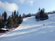 Easy slope Szumarjanka