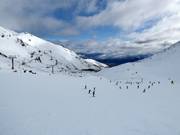 Easy slope Alta Green