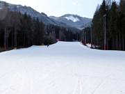 Excellent slope grooming