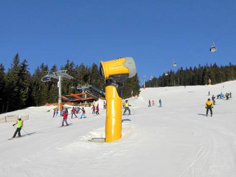 Snow reliability Hradec Králové Region (Královéhradecký kraj) – Snow reliability Černá hora – Janské Lázně