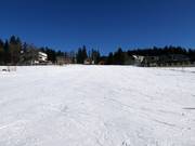 Easy slope at the Sirotek button lifts