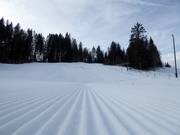 Ski slope at the Barmsee ski lift
