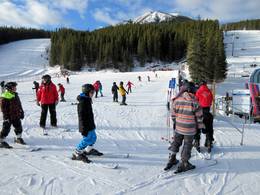 Monster Magic Carpet