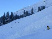 Runs at the Iselerbahn