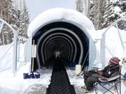 Caterpillar - People mover/Moving Carpet with cover