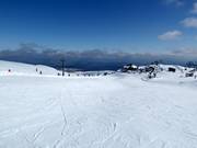 Practice slope at Wintergarden Platter