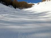 Black slope Olympique