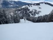 Difficult slope Beaver Dick's