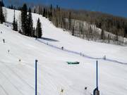 Blue Grouse downhill run with race track