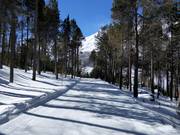 Valley run Heimfahrtspiste