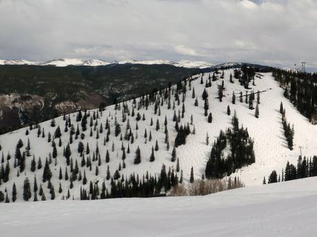 Ski resorts for advanced skiers and freeriding Sawatch Range – Advanced skiers, freeriders Aspen Mountain