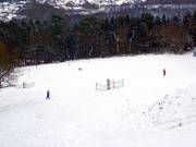 The wide main slope offers various options