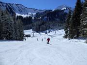 IF6 ski glide trail Küren