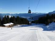 Ideal for beginners: slope 5 Sulzstichpiste
