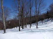 The descents through cleared forests (Gladed Runs) are very popular.