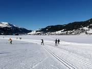 Cross-country ski trails in the Tannheimer Tal