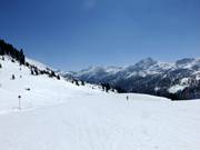 Wide, easy slope at Schaidberg