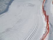 Groomed cross-country trail in Štrbské Pleso