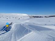 Easy connecting slope Rypestien