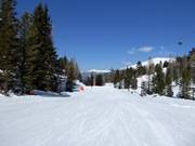 Easy slope Märchenwald-Abfahrt