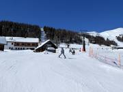 Easy Stockerboden-Trogalm run